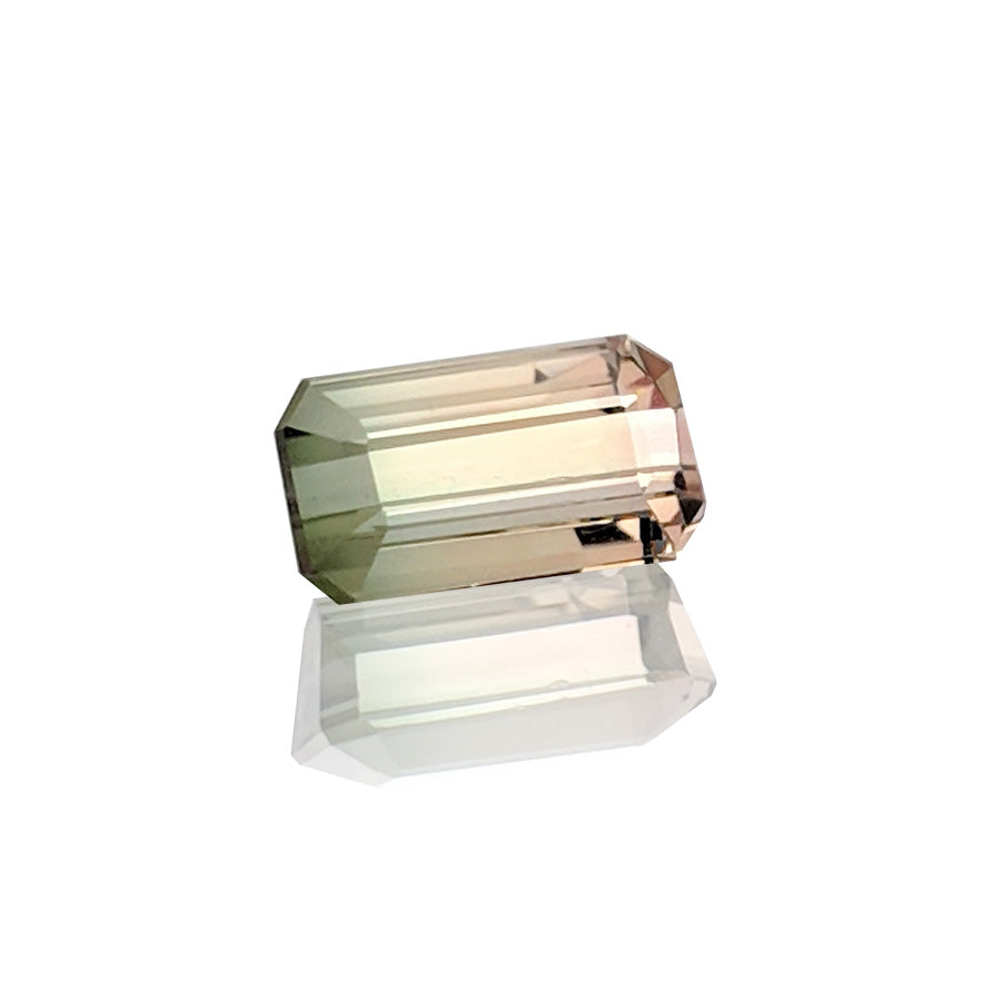 0.89ct Bi-Colour Tourmaline - MAYS