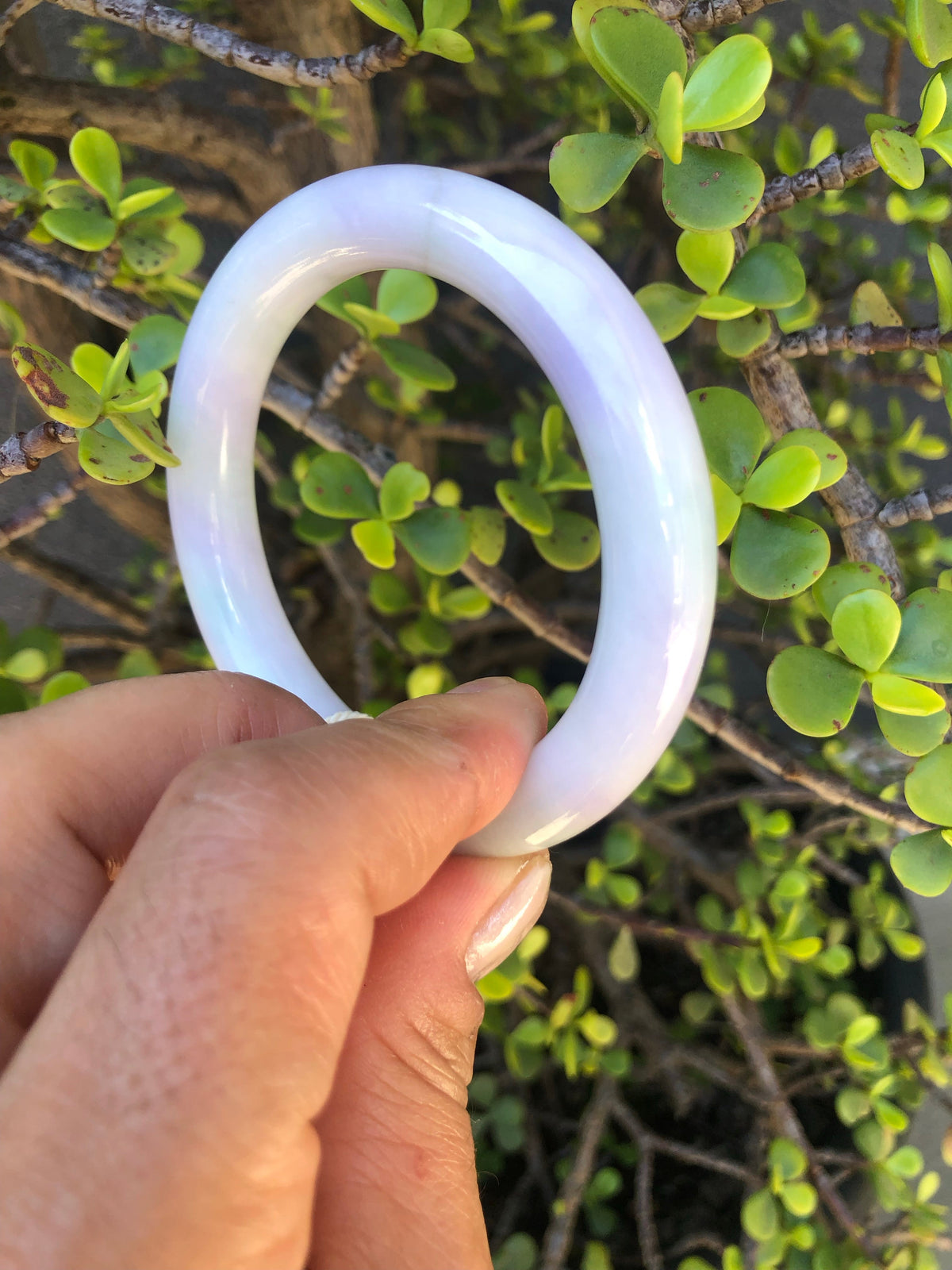 Real Untreated Green with Lavender Jadeite Bangle Bracelet - 56mm Round