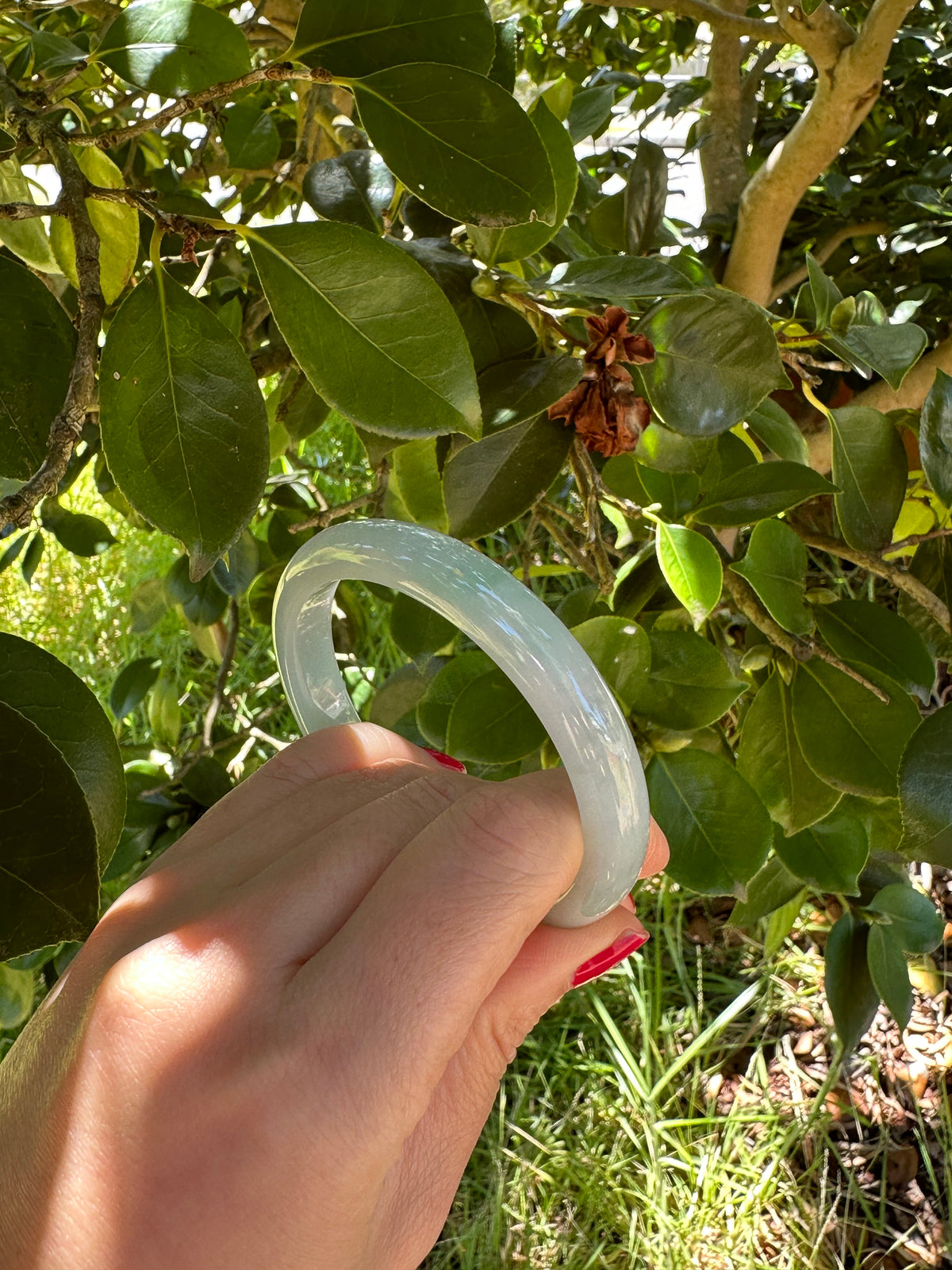 Real Untreated Light Green and Pale Green with White Jadeite Jade Bangle Bracelet - 55mm Semi Round