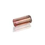 1.92ct Bi-Colour Tourmaline - MAYS
