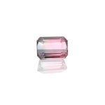 0.82ct Bi-ColourTourmaline - MAYS